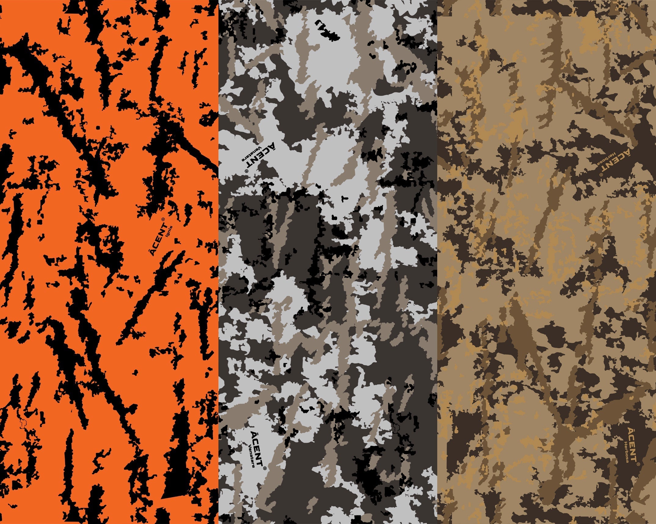 Behind the Camo: A First Look at Ācent