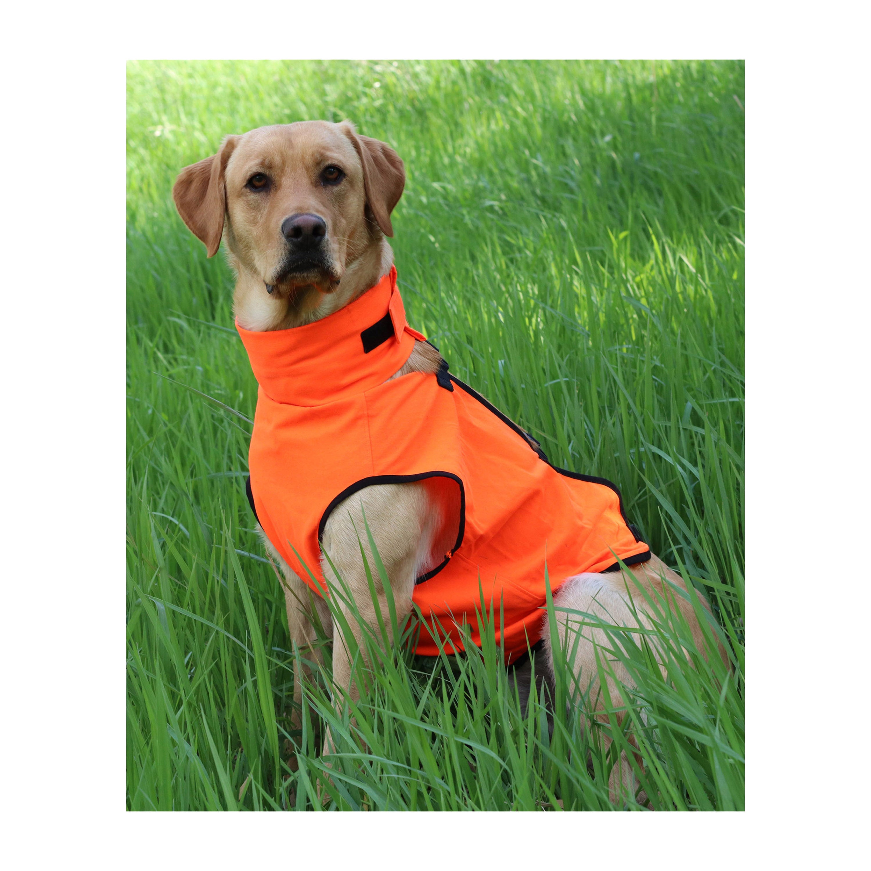 Snapcartshop ElimiTick Dog Vest (blaze orange)